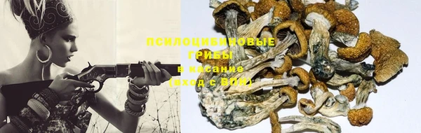 скорость Лиски