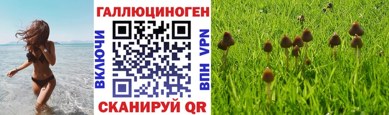 Галлюциногенные грибы Magic Shrooms  Купить  Одинцово 